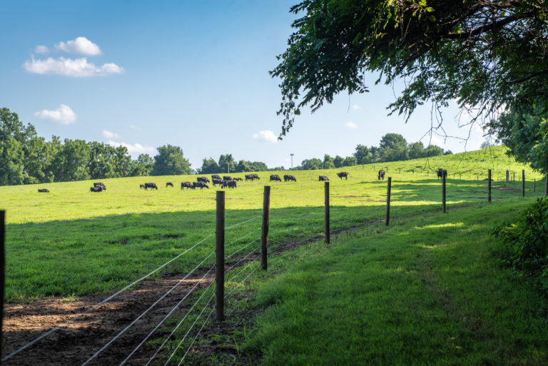 Land Preservation | Southern Maryland Agricultural Development Commission