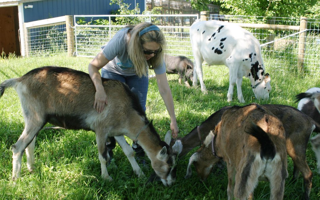 Farm therapy merges nature and nurture